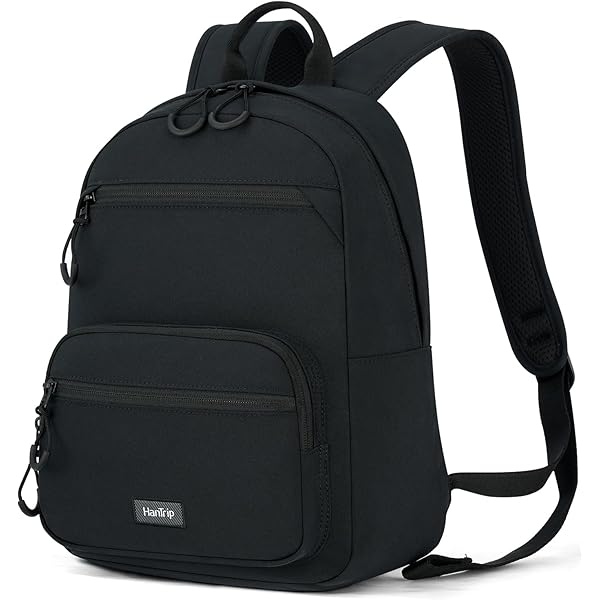 Amazon.com: Pacsafe Vibe 25L Anti Theft Travel Pack Casual Daypack